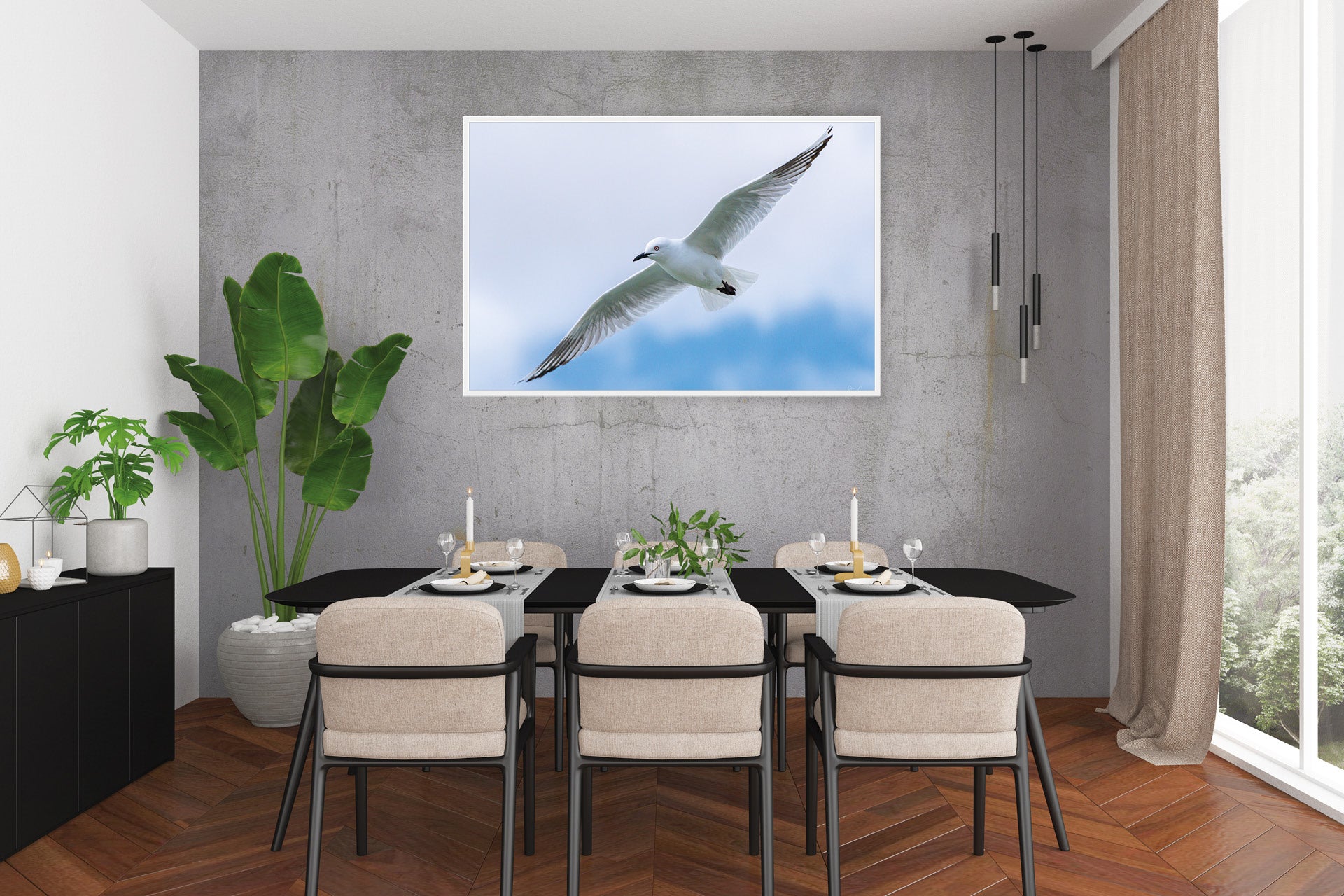 Black Billed Gull | New Zealand Black-Billed Gull — Inland Breeding Portrait