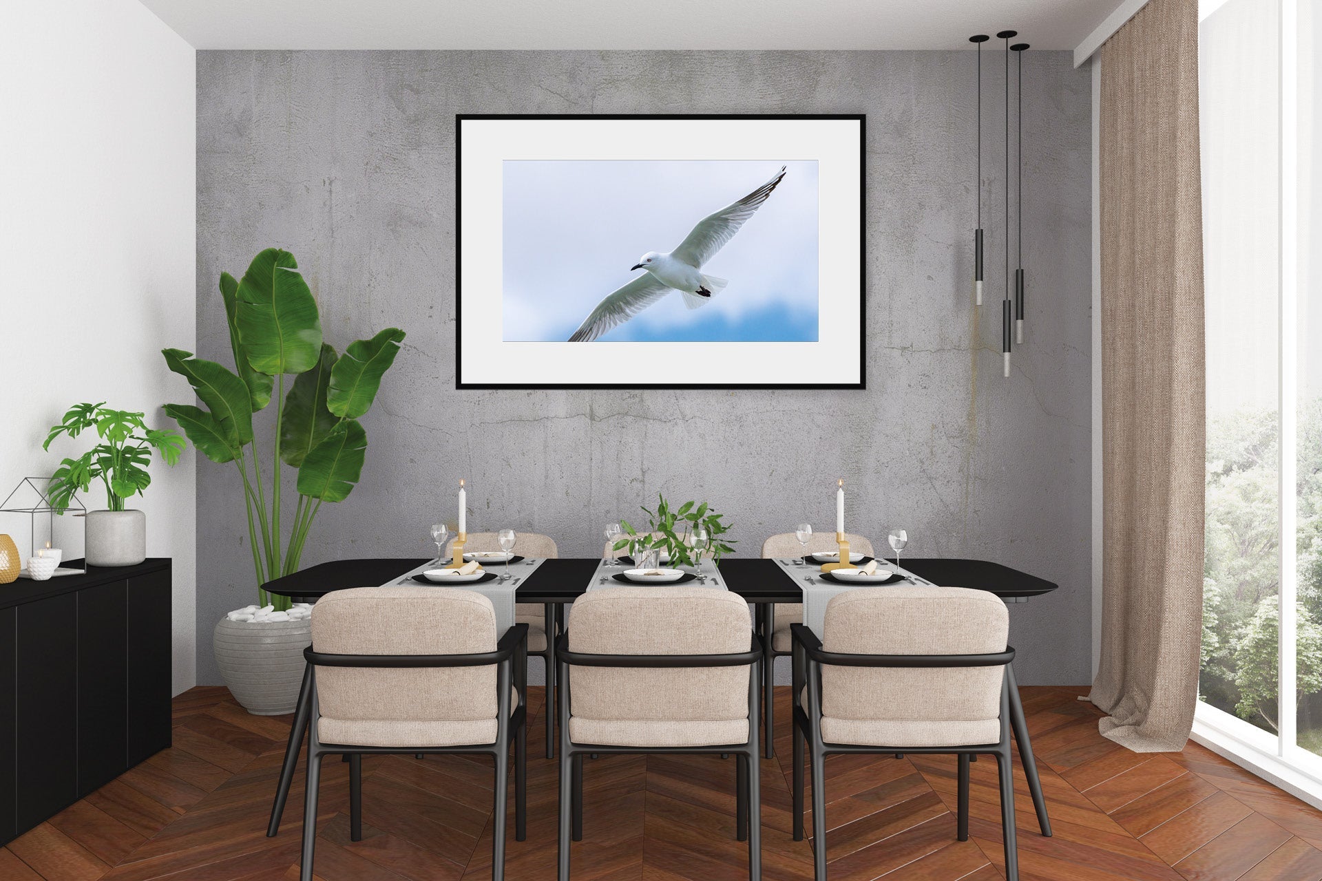 Black Billed Gull | New Zealand Black-Billed Gull — Inland Breeding Portrait