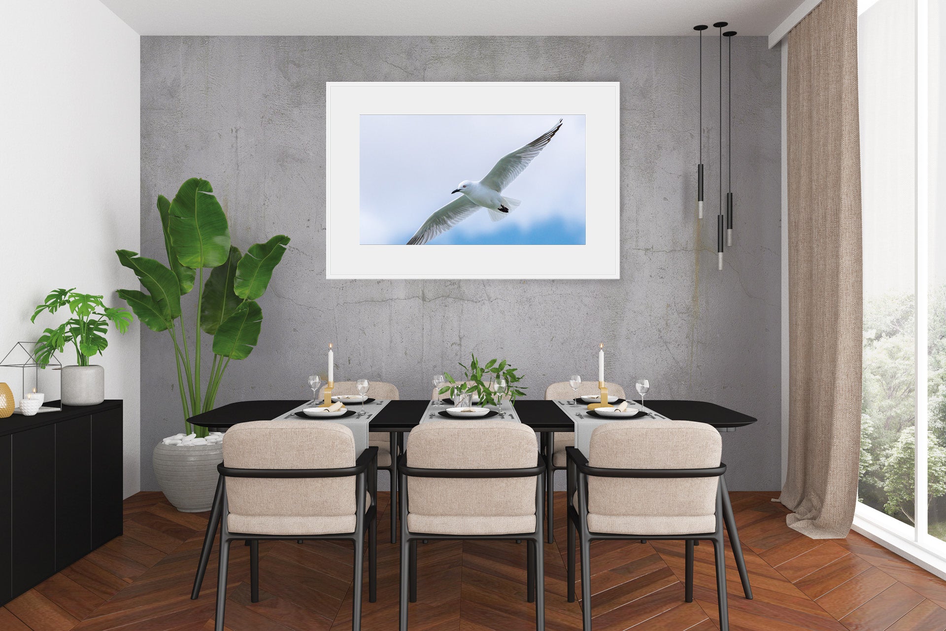 Black Billed Gull | New Zealand Black-Billed Gull — Inland Breeding Portrait