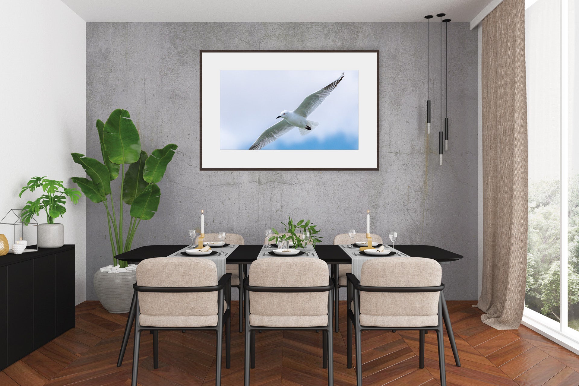 Black Billed Gull | New Zealand Black-Billed Gull — Inland Breeding Portrait