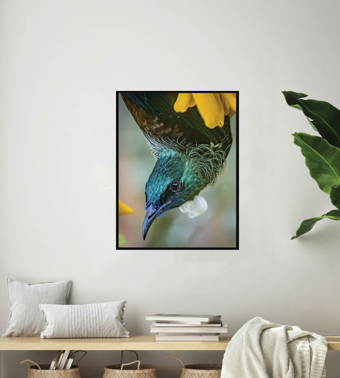 Hanging Around | New Zealand Tui Nectar Frenzy — Wildlife Portrait