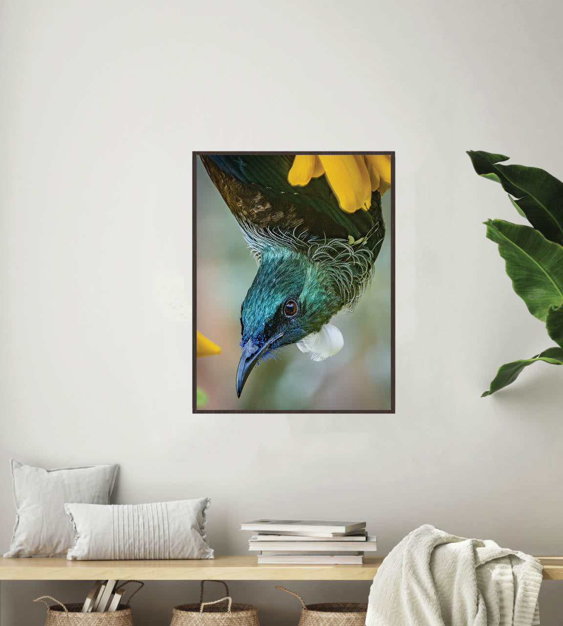 Hanging Around | New Zealand Tui Nectar Frenzy — Wildlife Portrait