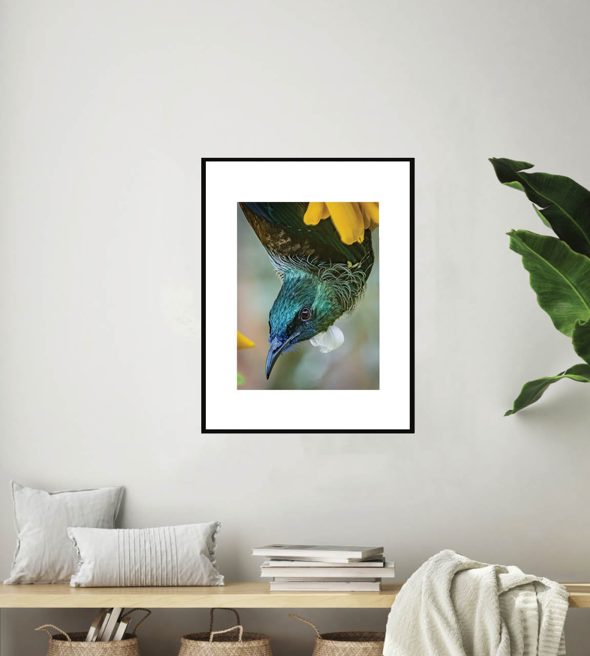 Hanging Around | New Zealand Tui Nectar Frenzy — Wildlife Portrait