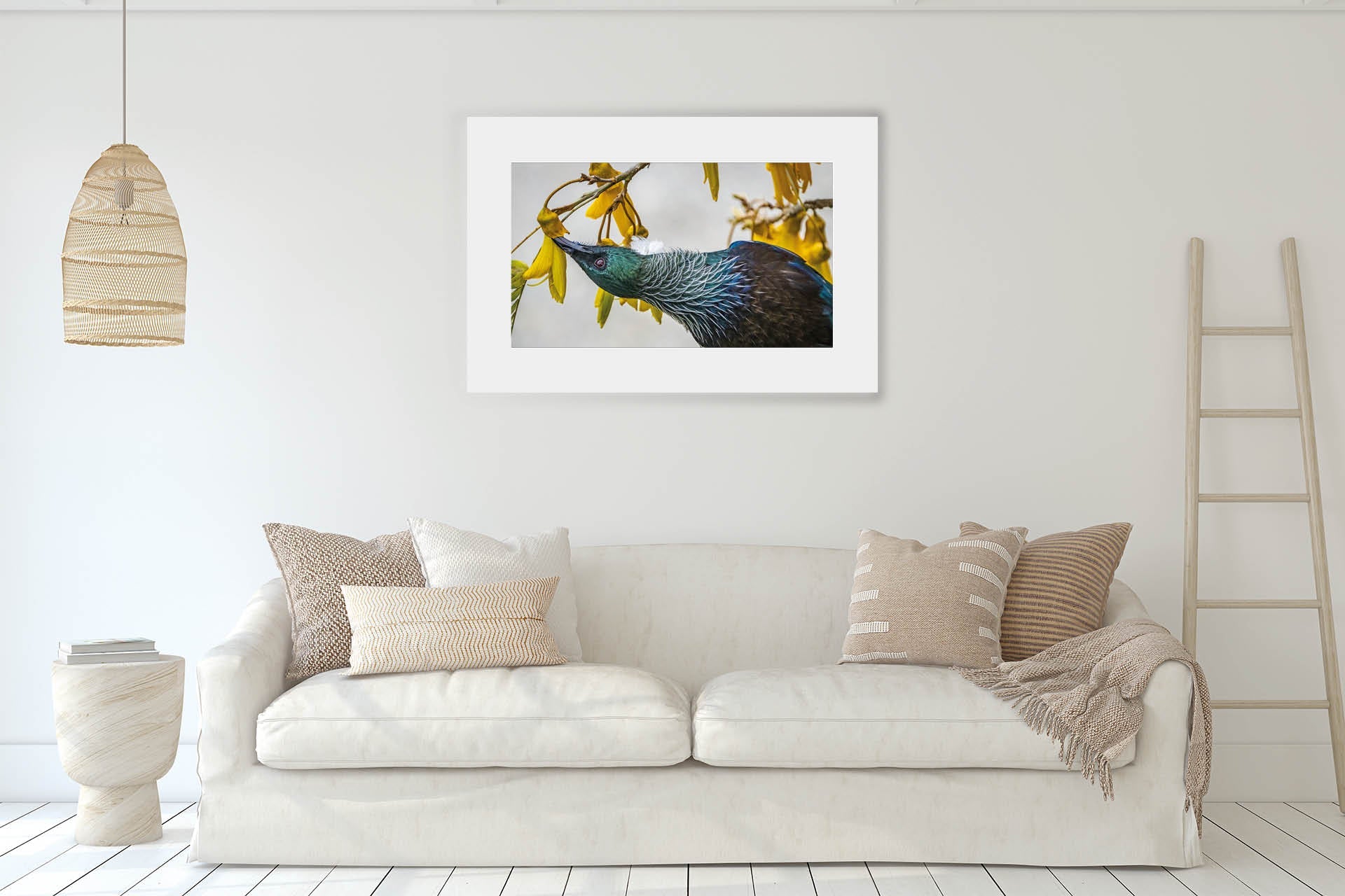 Inverted | New Zealand Tui Pollination Dance — Wildlife Portrait