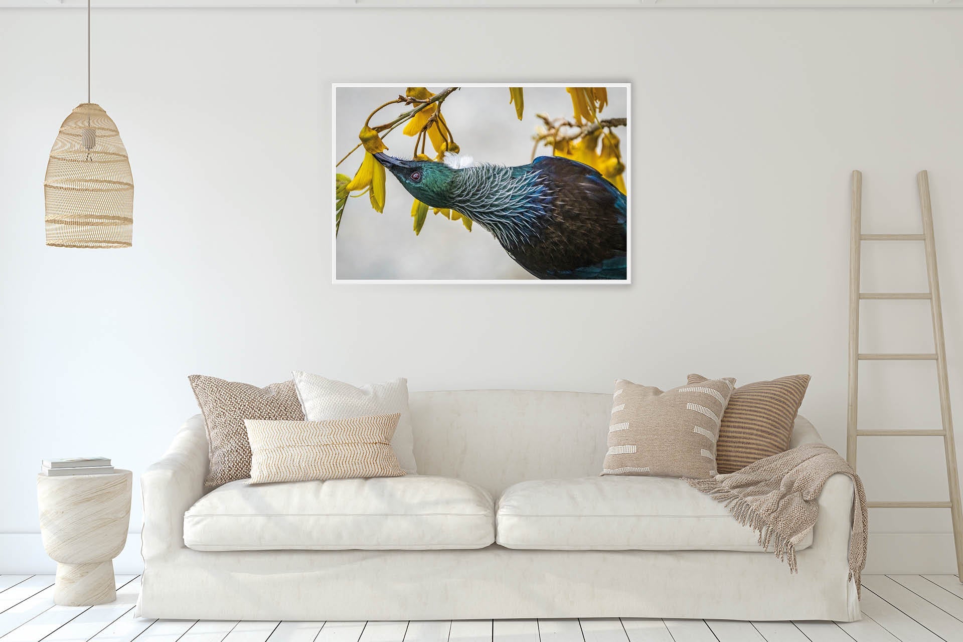 Inverted | New Zealand Tui Pollination Dance — Wildlife Portrait