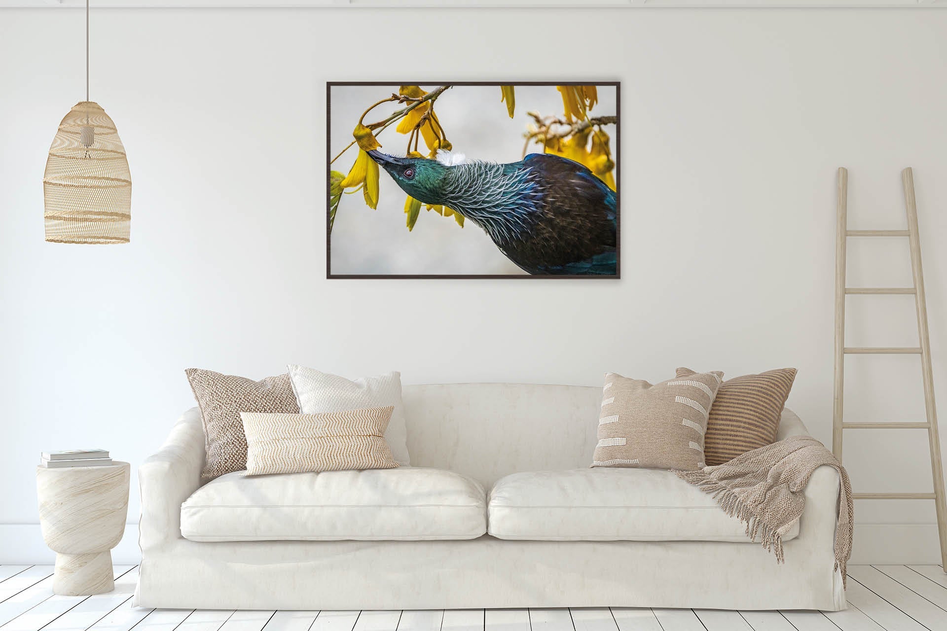 Inverted | New Zealand Tui Pollination Dance — Wildlife Portrait