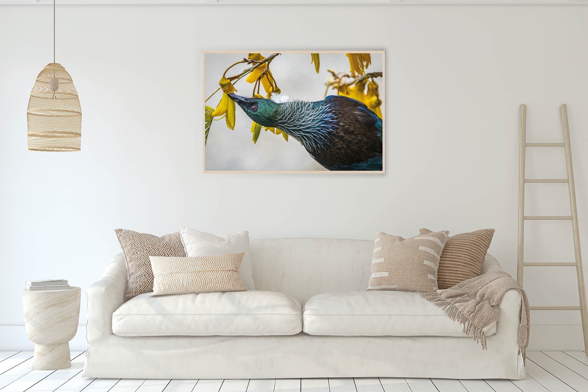 Inverted | New Zealand Tui Pollination Dance — Wildlife Portrait