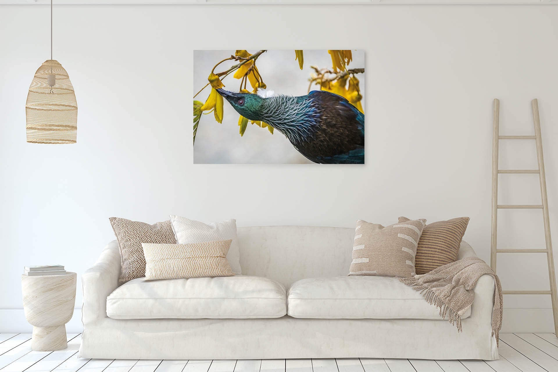 Inverted | New Zealand Tui Pollination Dance — Wildlife Portrait