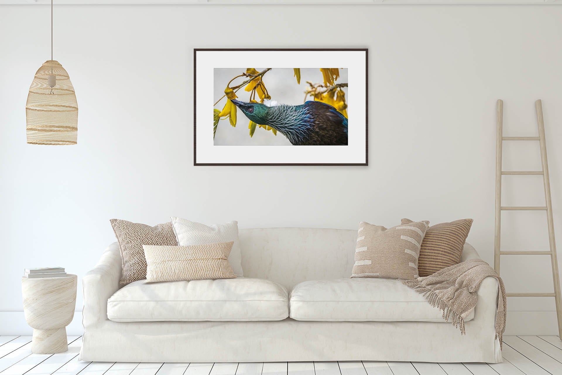 Inverted | New Zealand Tui Pollination Dance — Wildlife Portrait