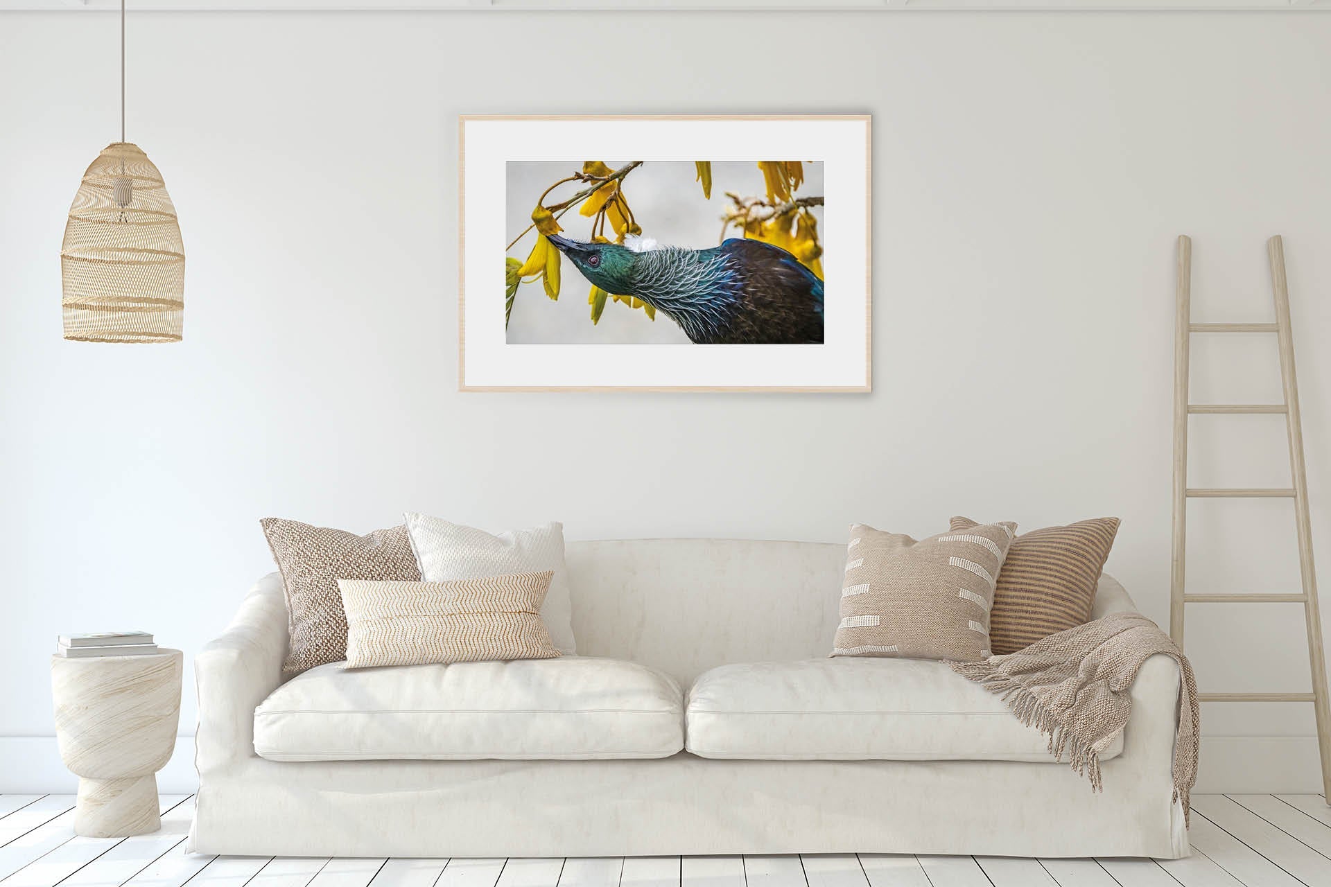 Inverted | New Zealand Tui Pollination Dance — Wildlife Portrait