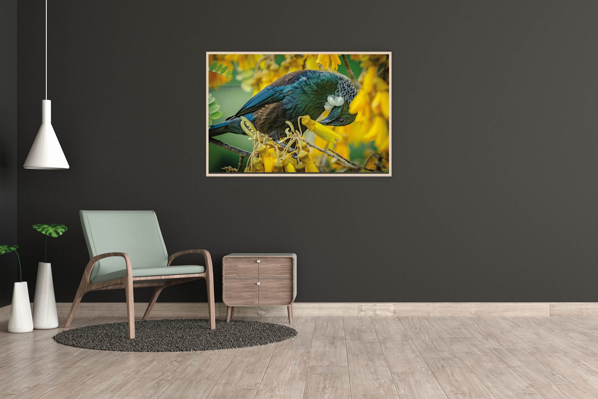 Glorious Nectar | New Zealand Tui's Unquenchable Thirst — Wildlife Portrait