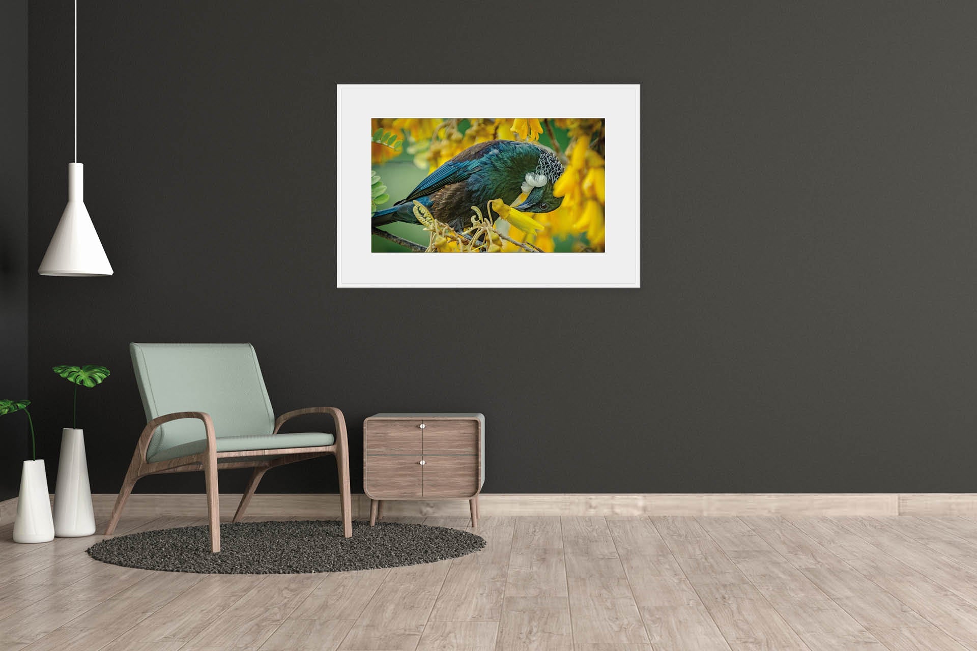 Glorious Nectar | New Zealand Tui's Unquenchable Thirst — Wildlife Portrait