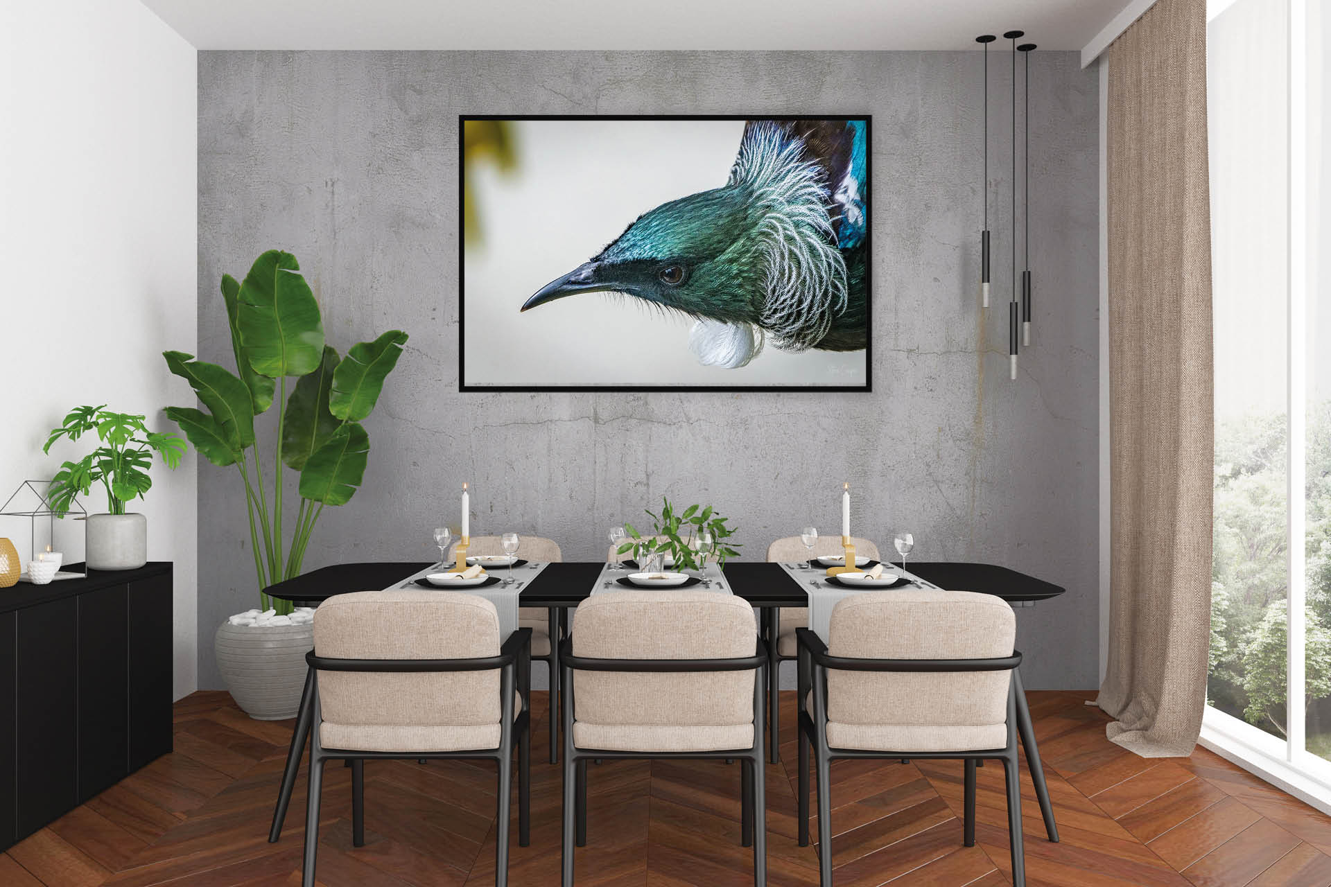Bib and Collar | New Zealand Tui Close-Up — Wildlife Portrait