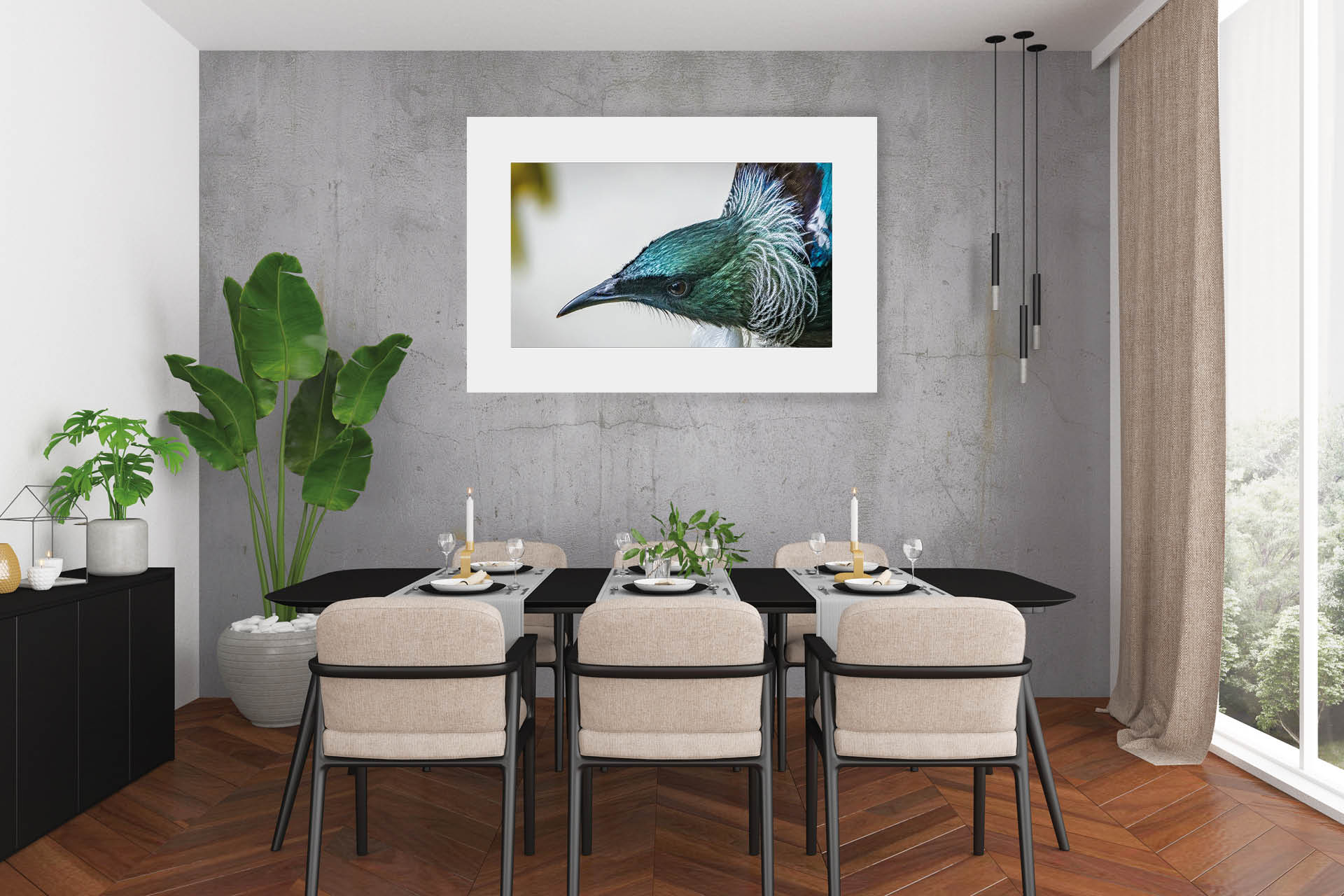 Bib and Collar | New Zealand Tui Close-Up — Wildlife Portrait