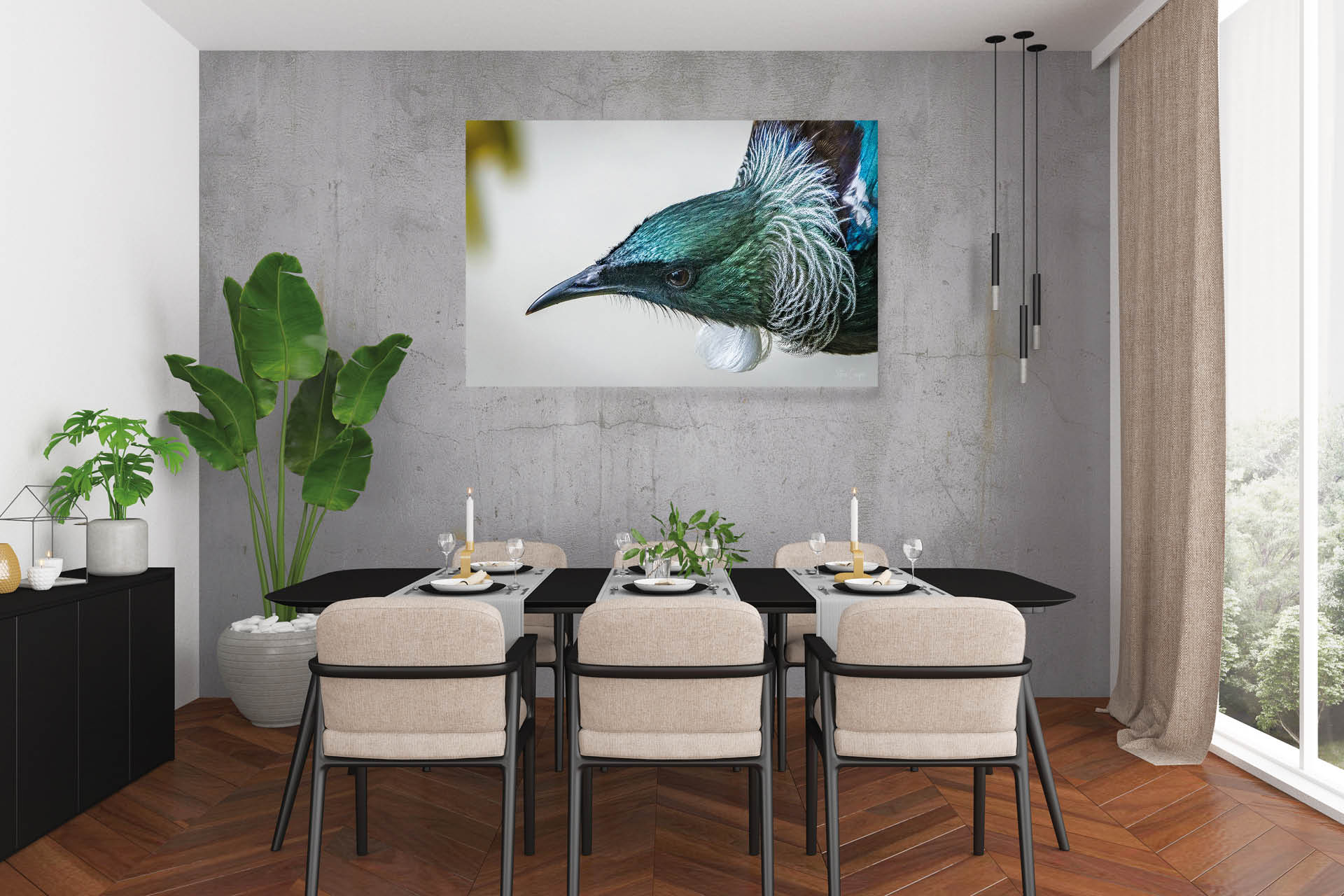 Bib and Collar | New Zealand Tui Close-Up — Wildlife Portrait