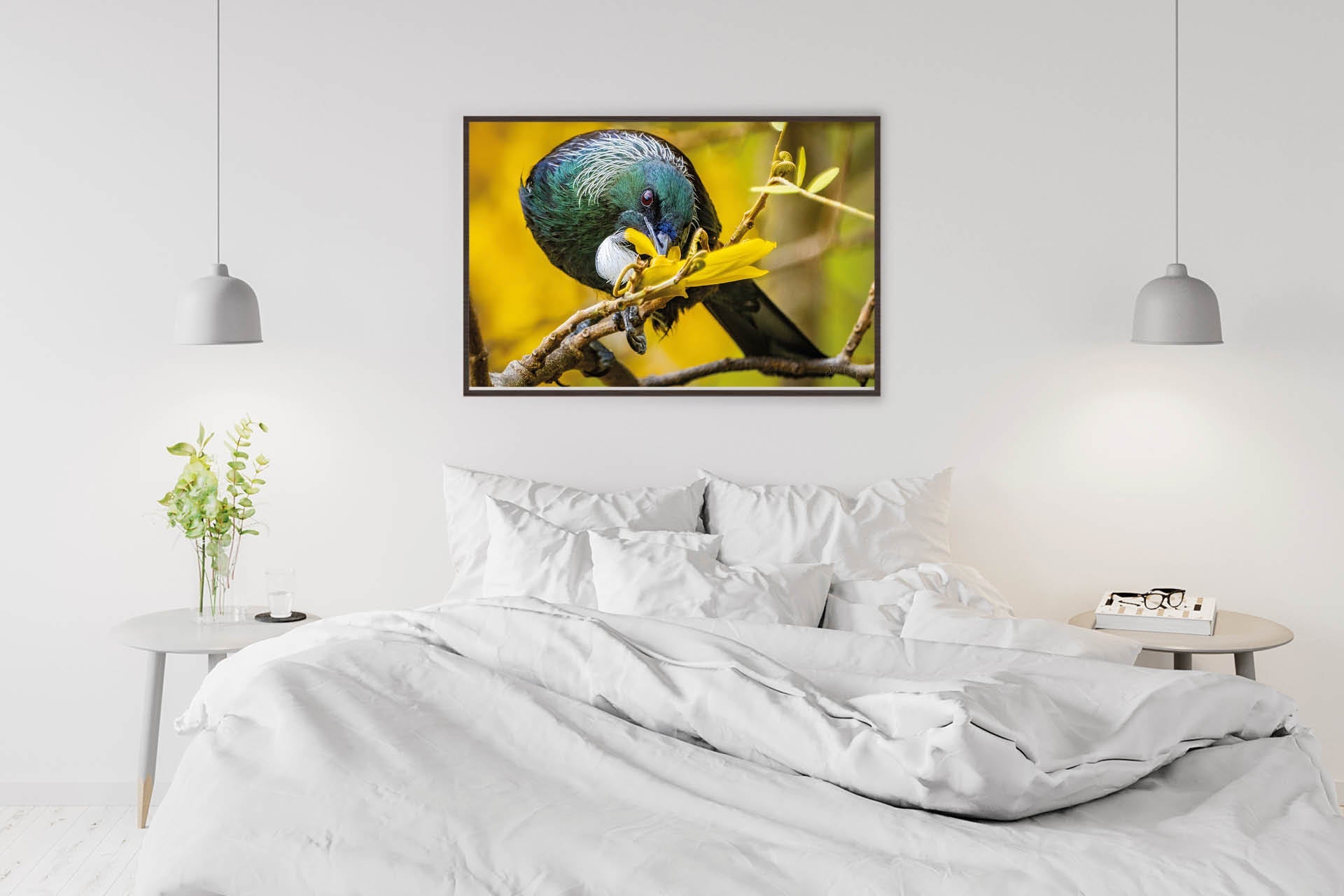 Complete Focus | New Zealand Tui Immersed in Kowhai Nectar Extraction — Wildlife Portrait
