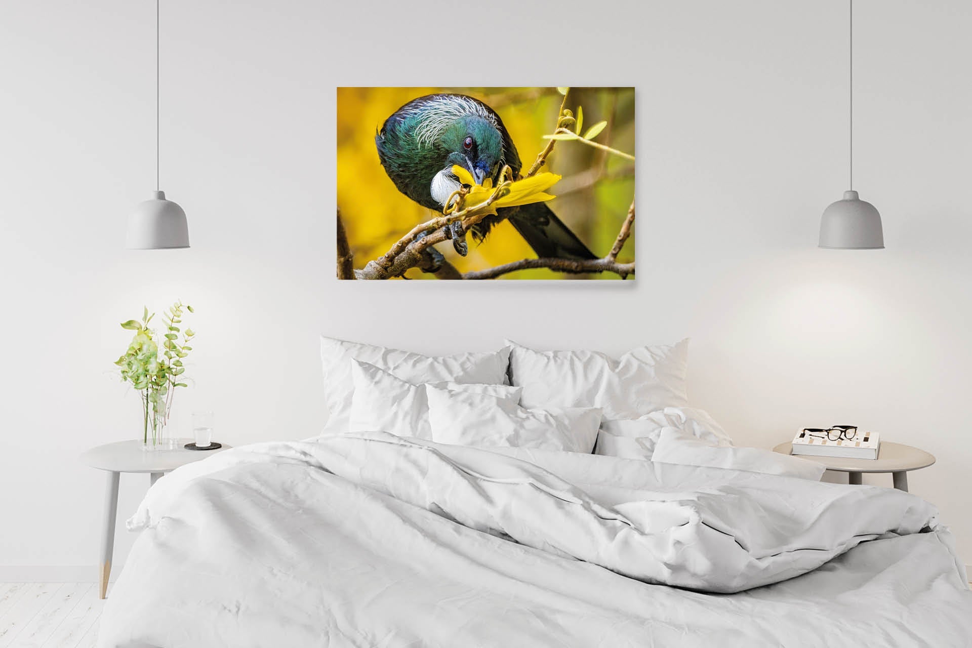 Complete Focus | New Zealand Tui Immersed in Kowhai Nectar Extraction — Wildlife Portrait