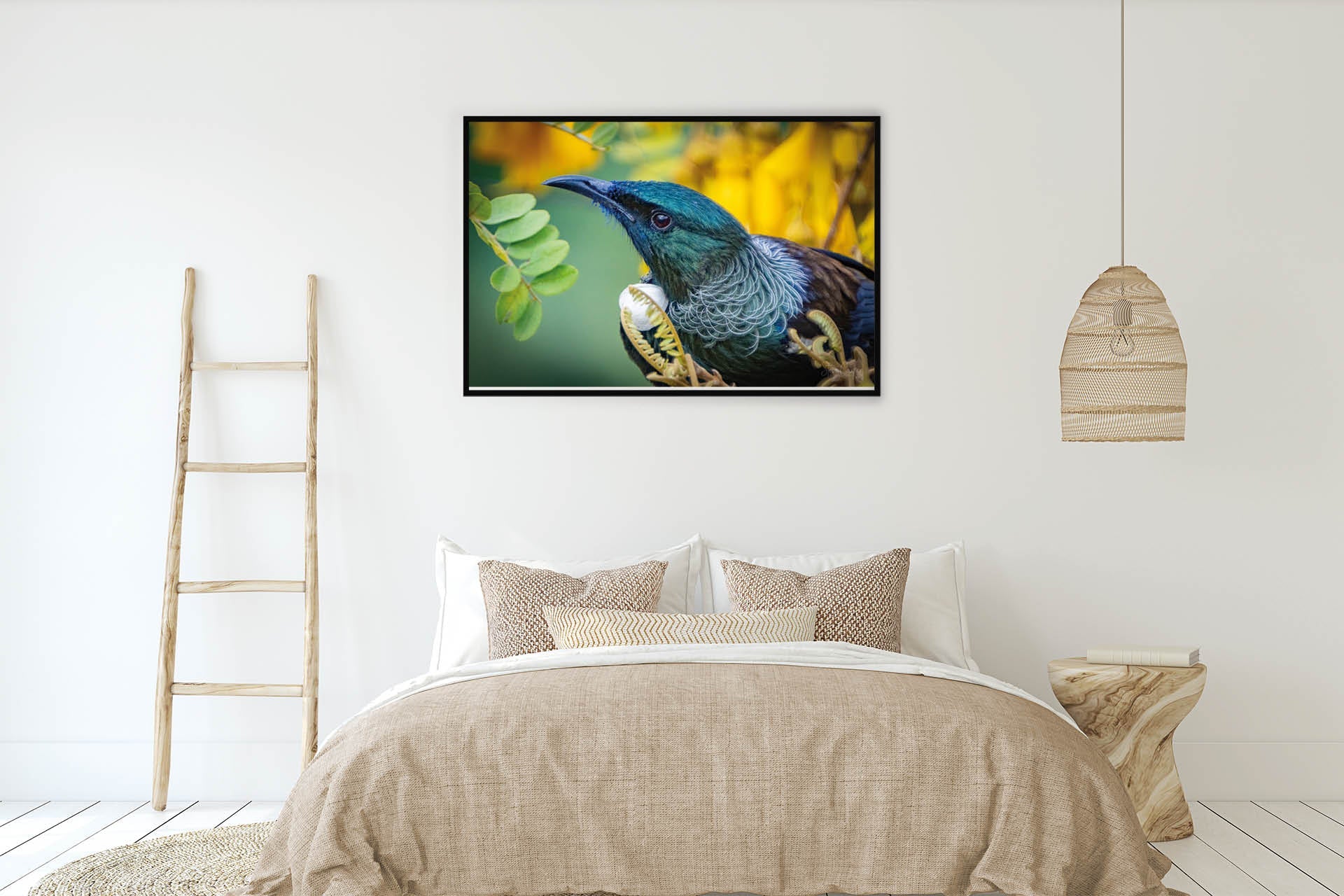 Kowhai Worship | New Zealand Tui on Kowhai Flower — Wildlife Portrait