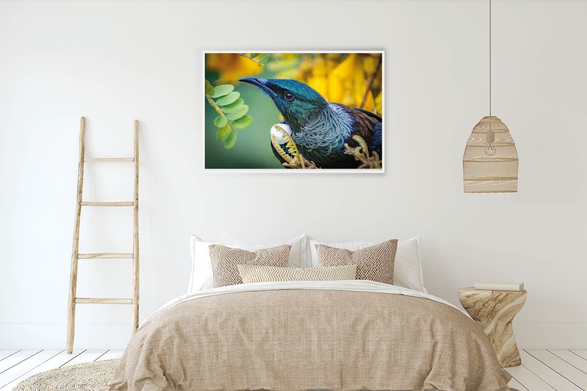 Kowhai Worship | New Zealand Tui on Kowhai Flower — Wildlife Portrait