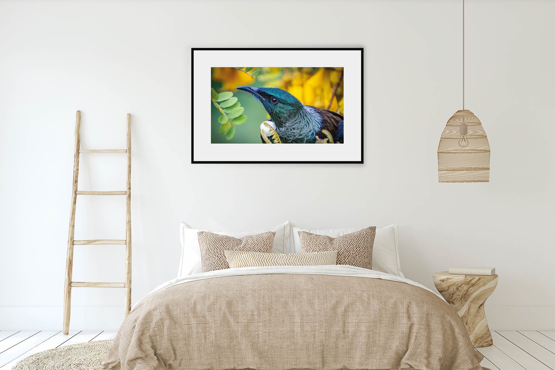 Kowhai Worship | New Zealand Tui on Kowhai Flower — Wildlife Portrait