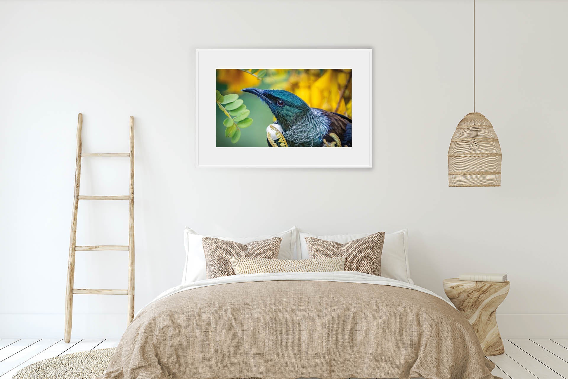 Kowhai Worship | New Zealand Tui on Kowhai Flower — Wildlife Portrait