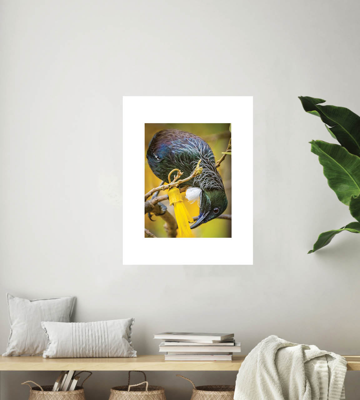 The Very Last Drop | New Zealand Tui Extracting Kowhai Nectar — Wildlife Portrait