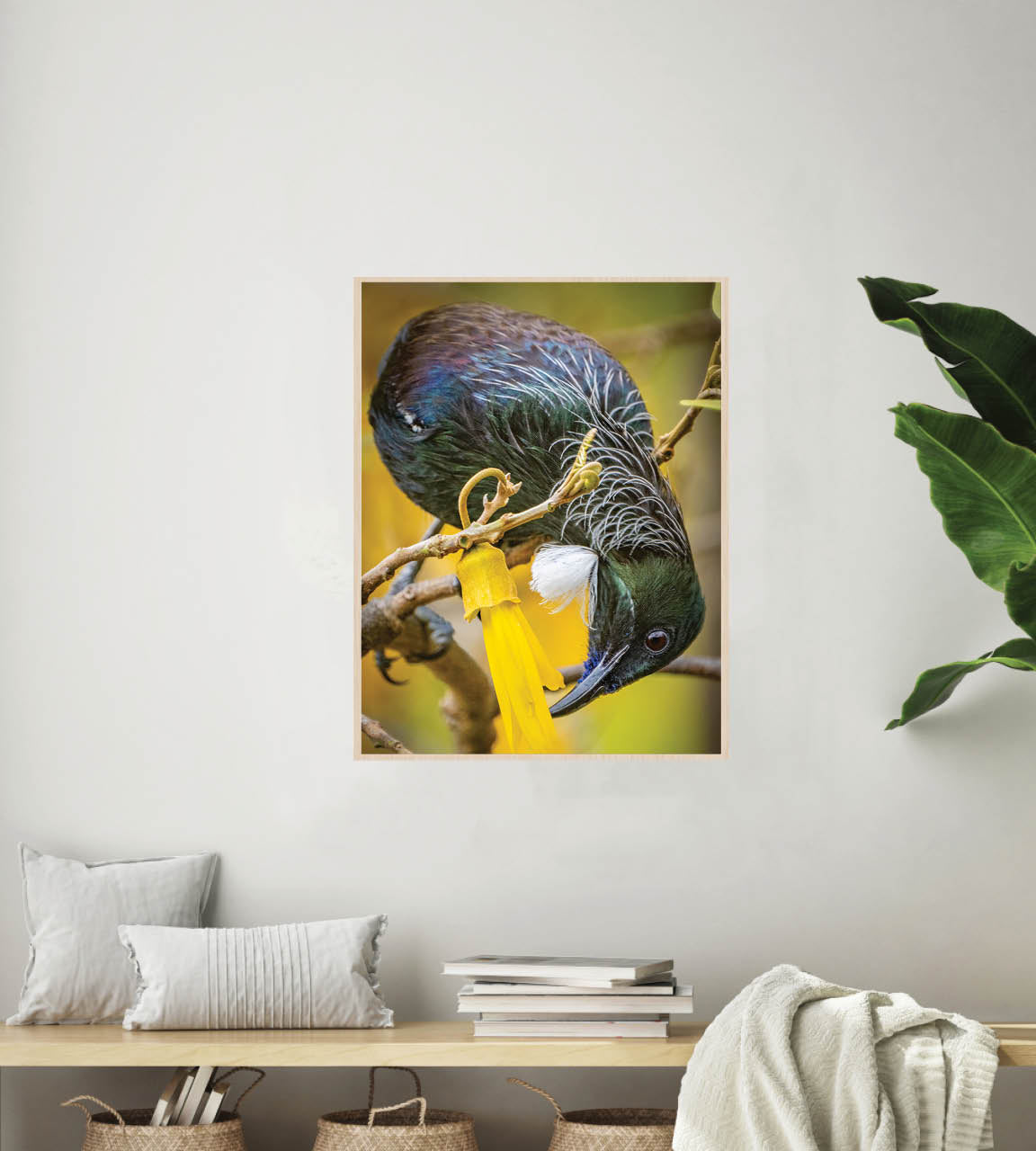 The Very Last Drop | New Zealand Tui Extracting Kowhai Nectar — Wildlife Portrait