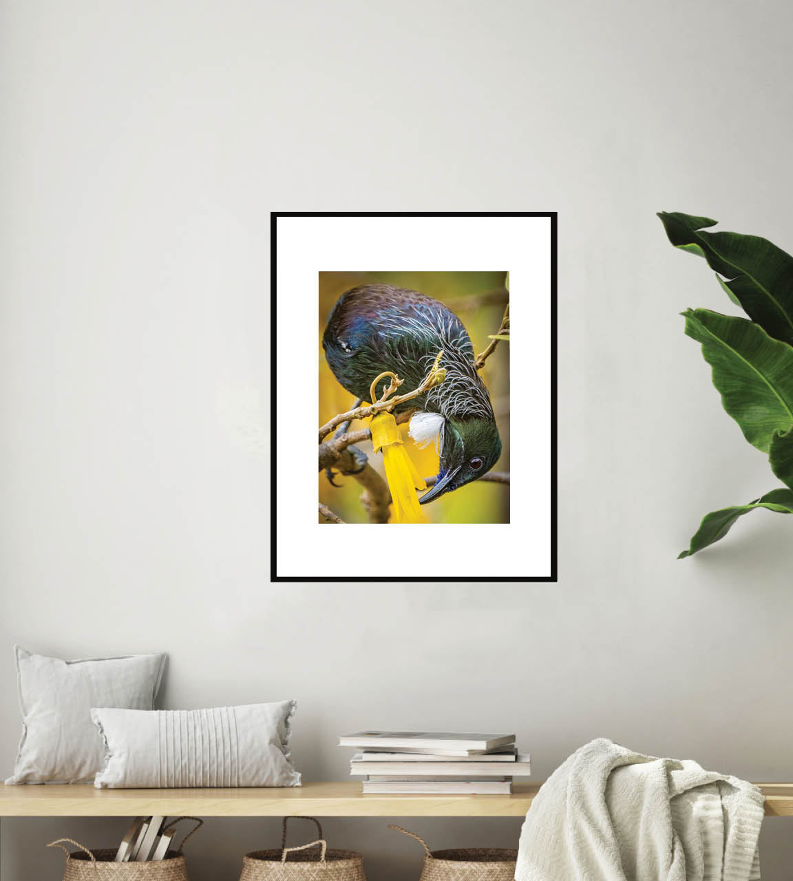 The Very Last Drop | New Zealand Tui Extracting Kowhai Nectar — Wildlife Portrait