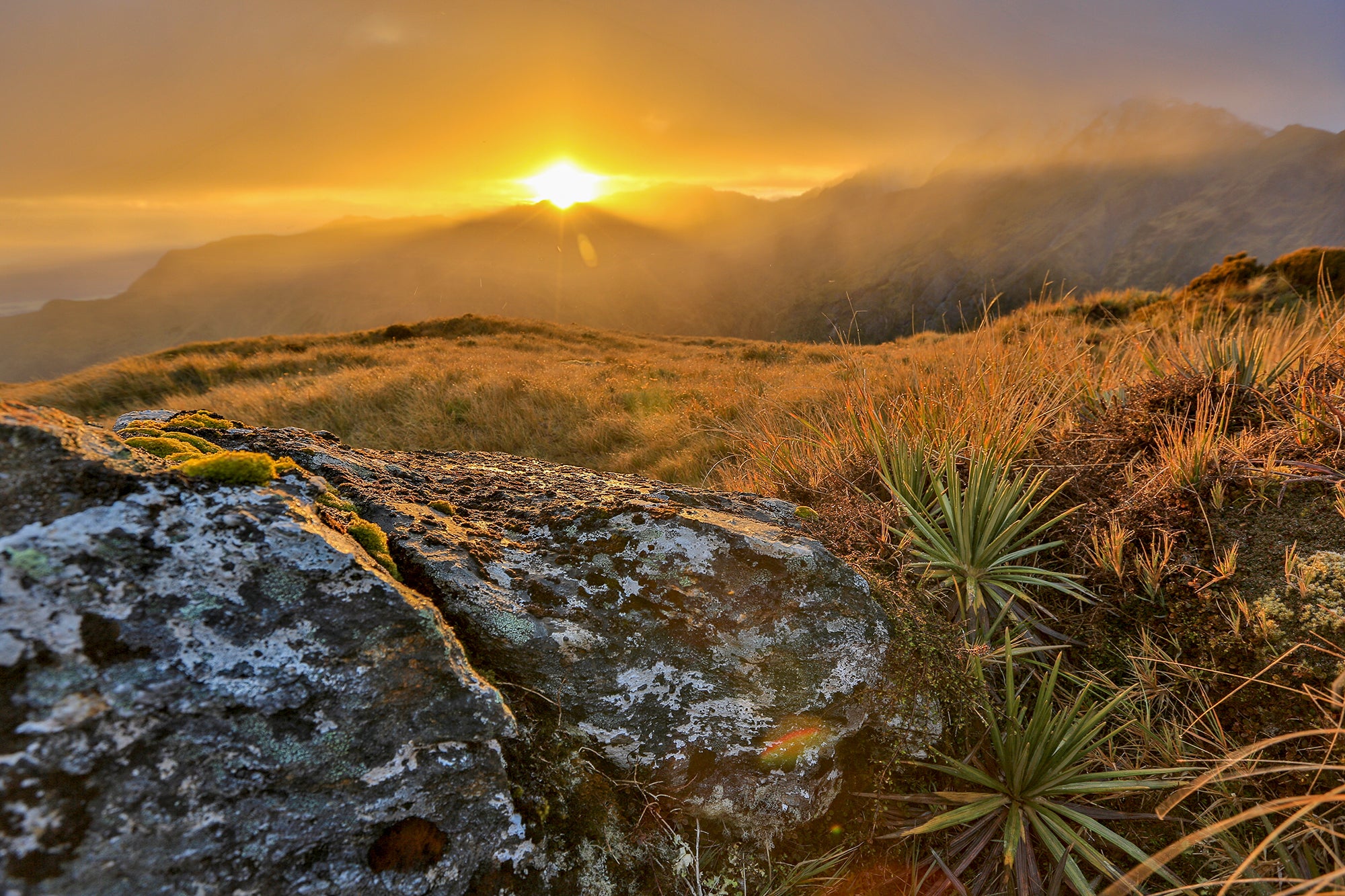 NZ Landscape Photography