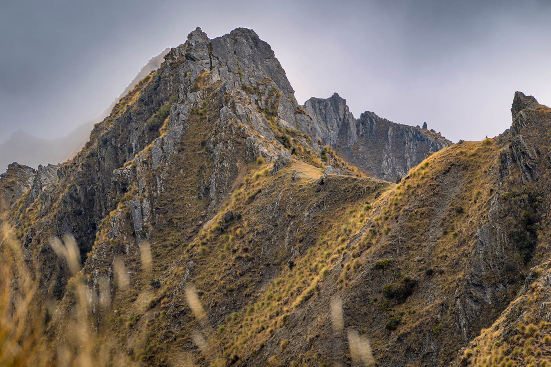 Rugged alpine peaks with golden vegetation and storm clouds in chamois habitat mountain landscape