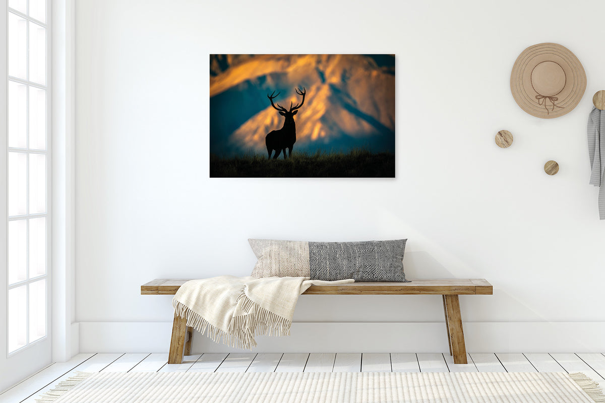 New Zealand Red Stag High Country Hill Silhouette fine art print by Steve Couper Photography | New Zealand Wildlife