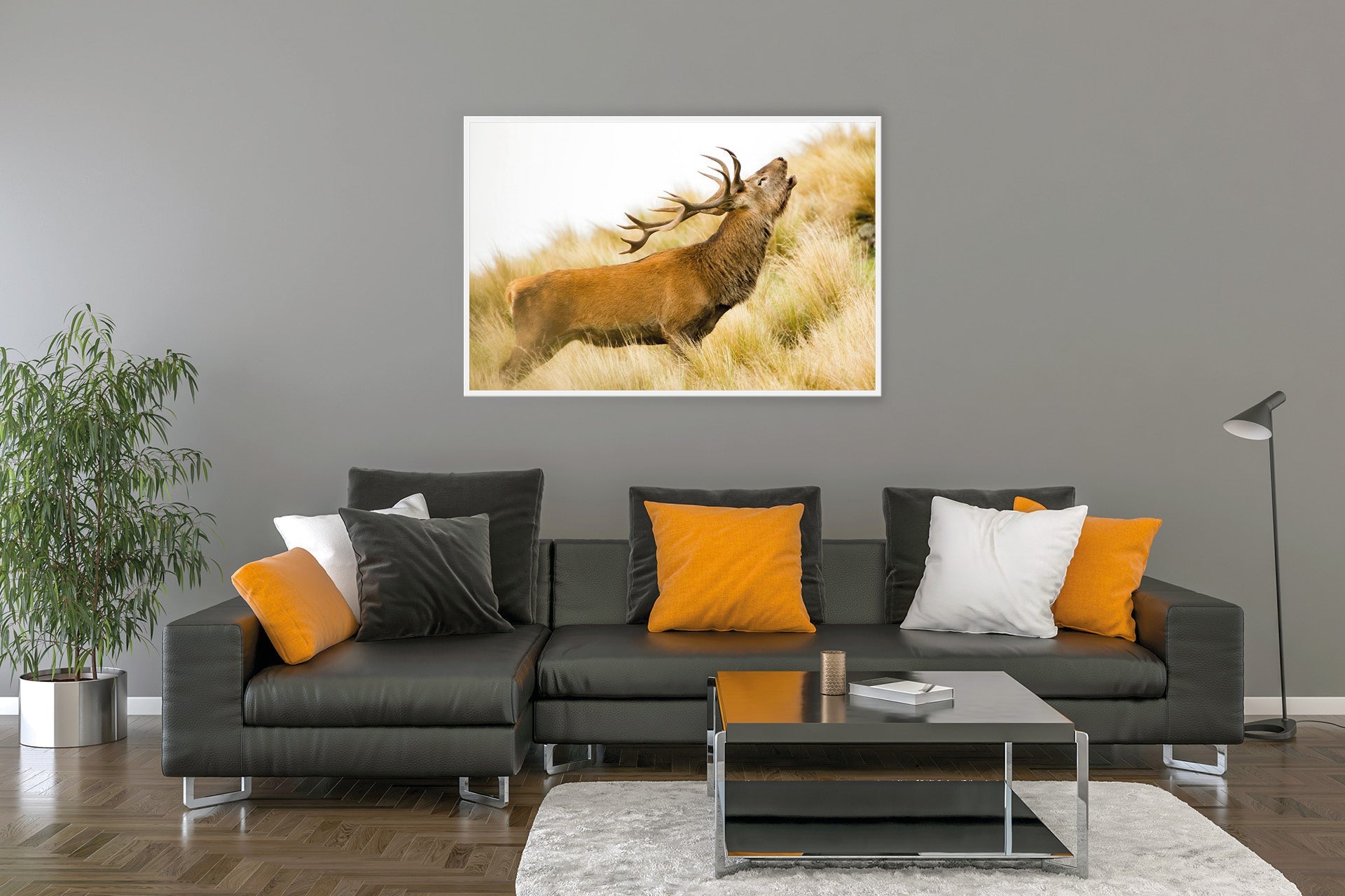 New Zealand Red Stag roaring