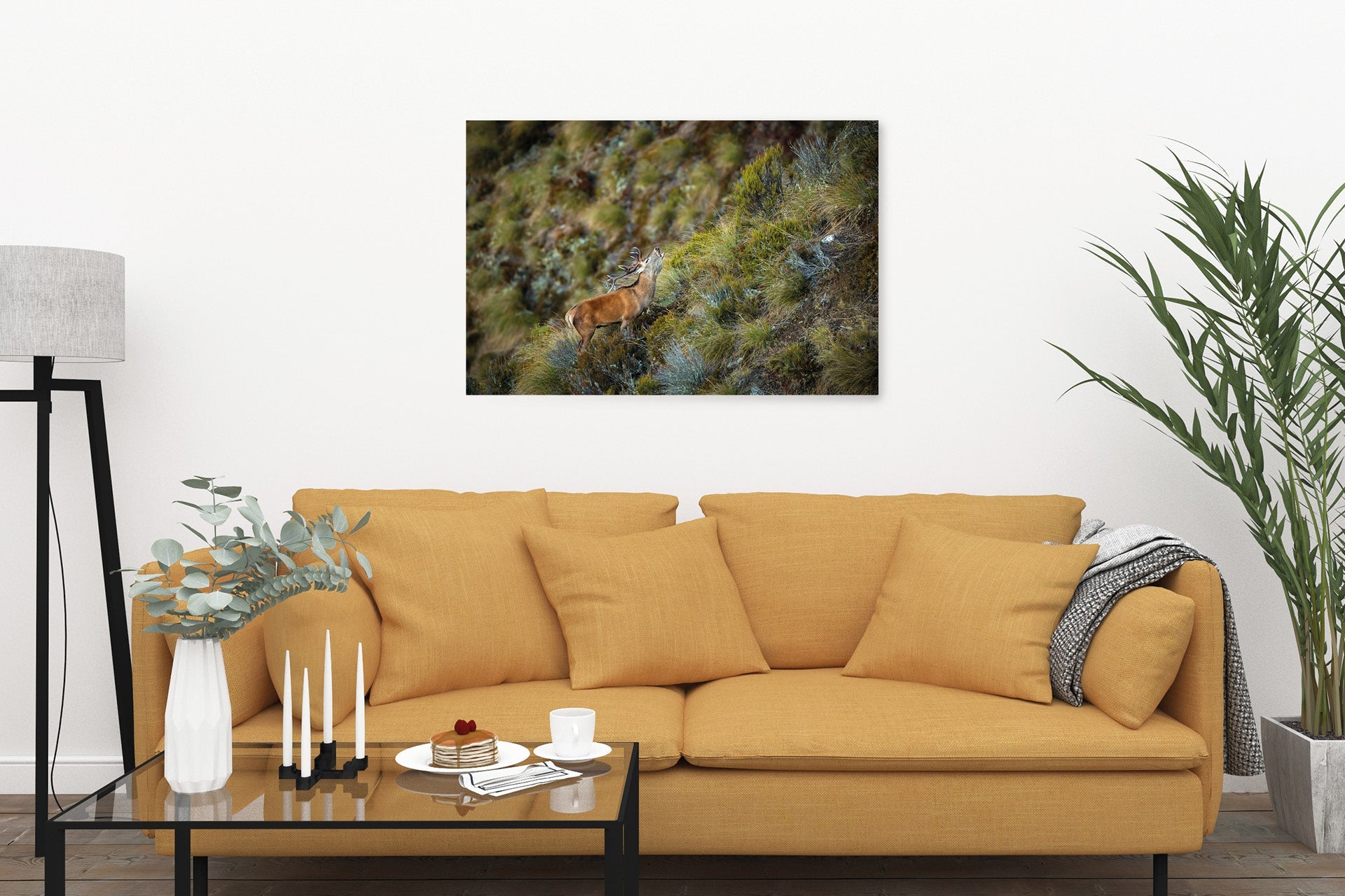 New Zealand Red Stag wall print