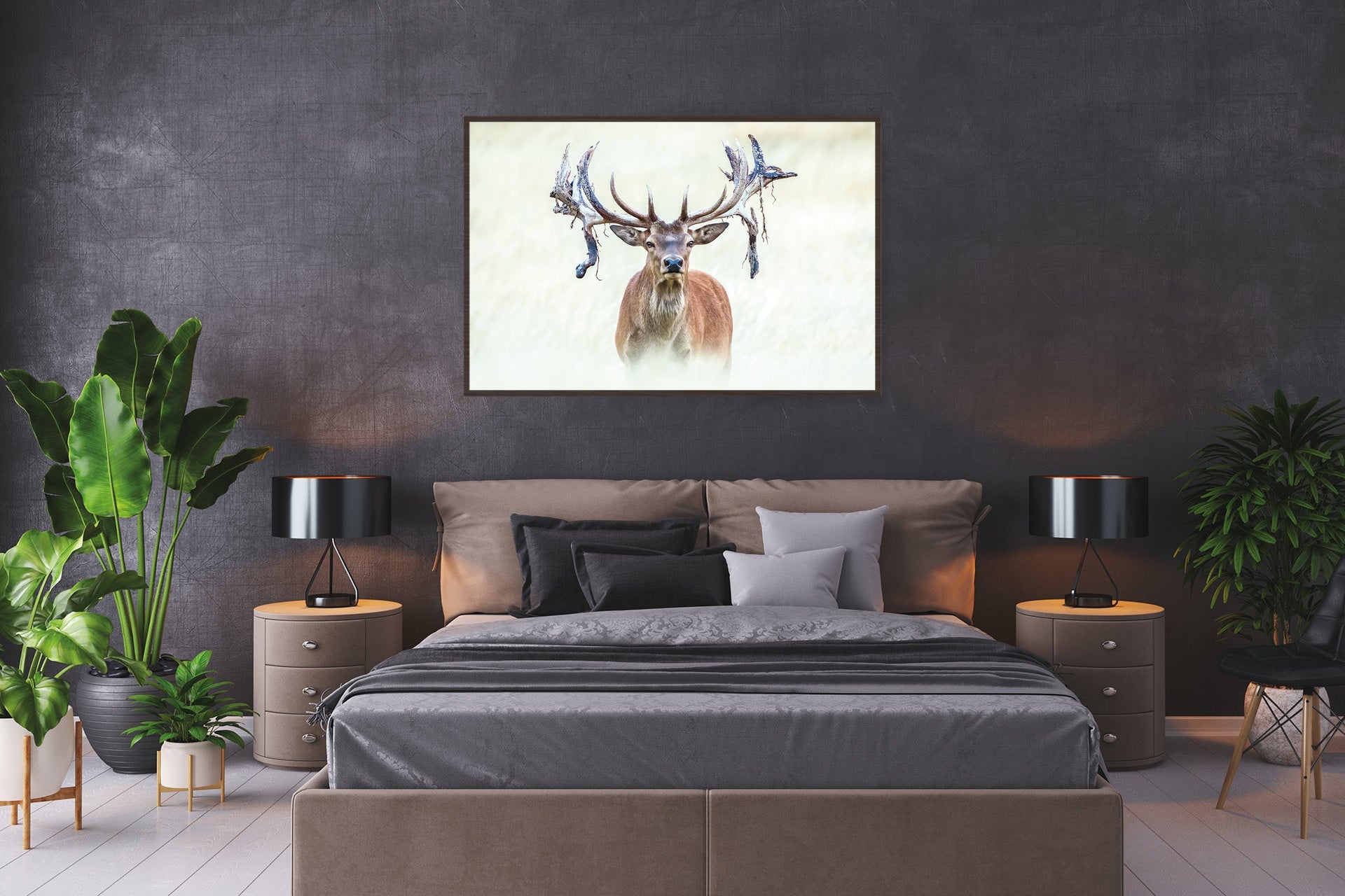 Red Stag in velvet picture