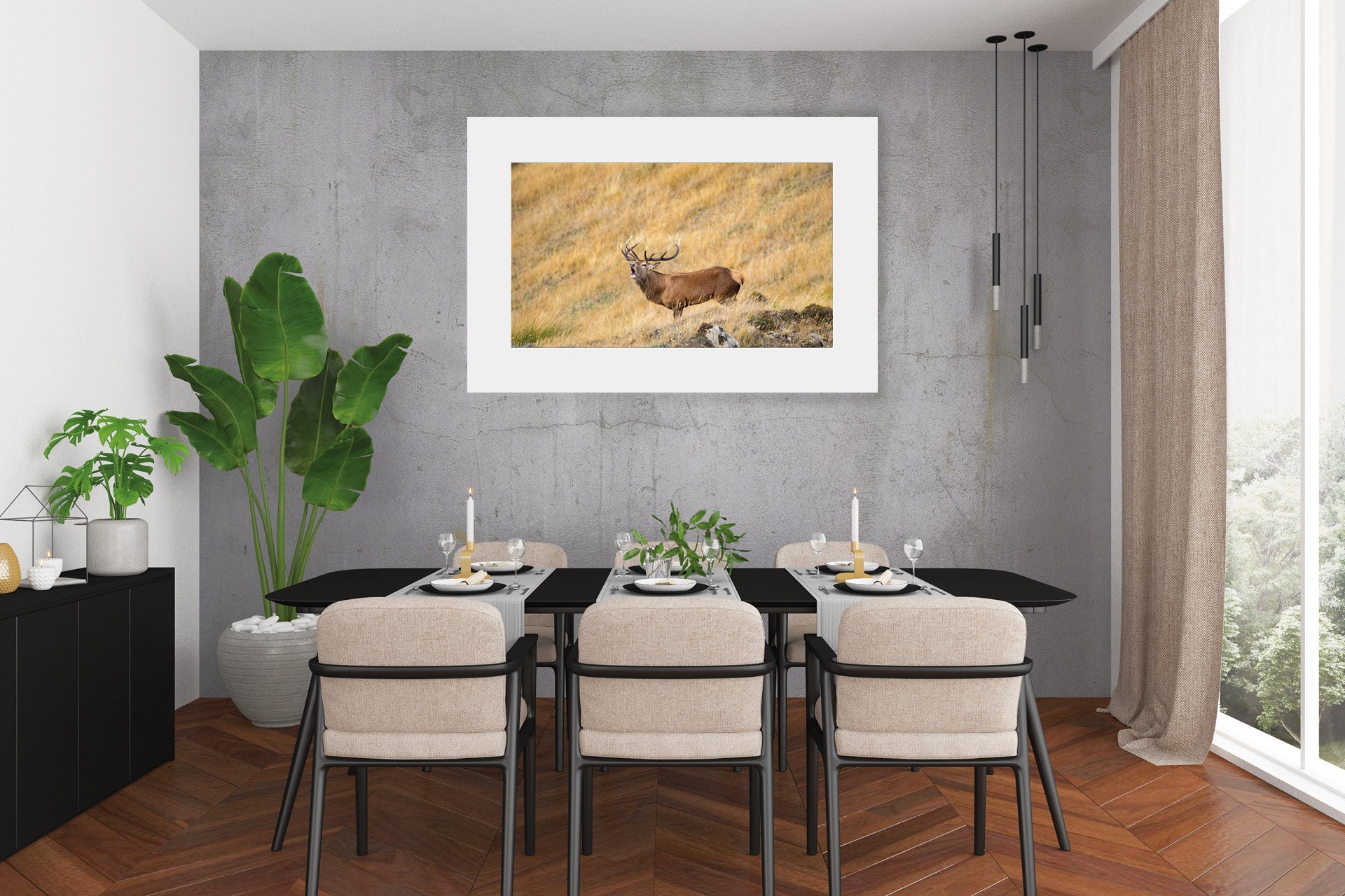 New Zealand Red Stag wall print photo
