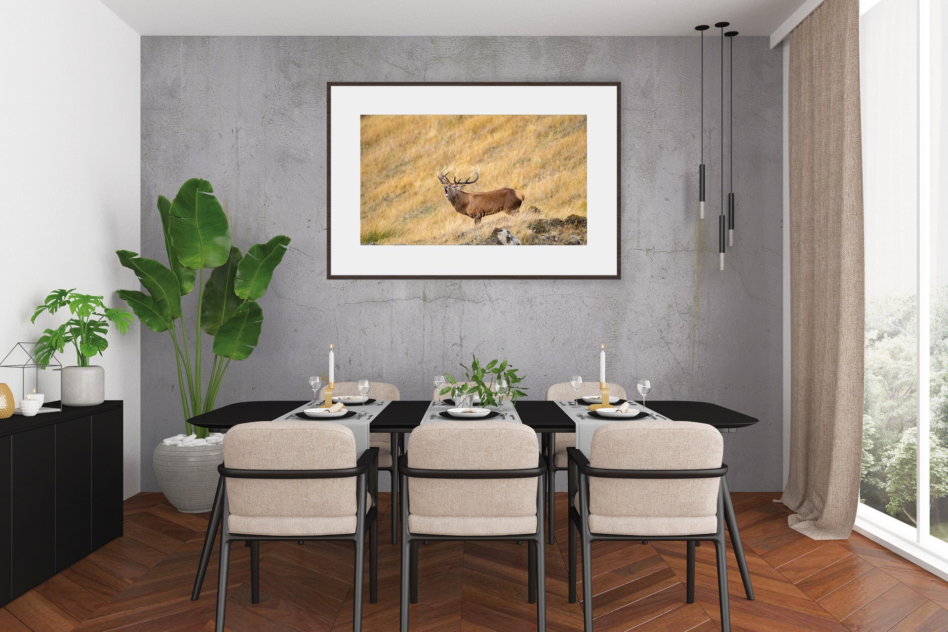 New Zealand Red Stag wall print photo