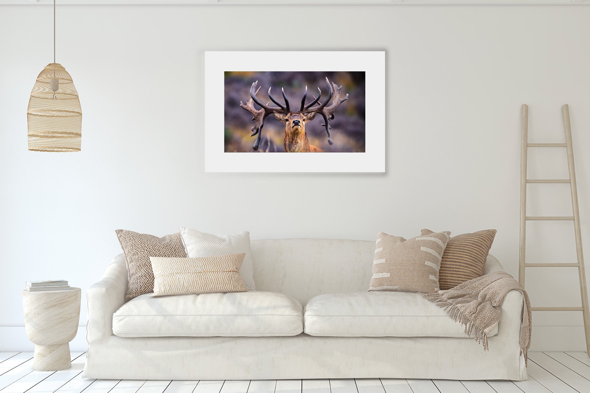 wild Red Stag print