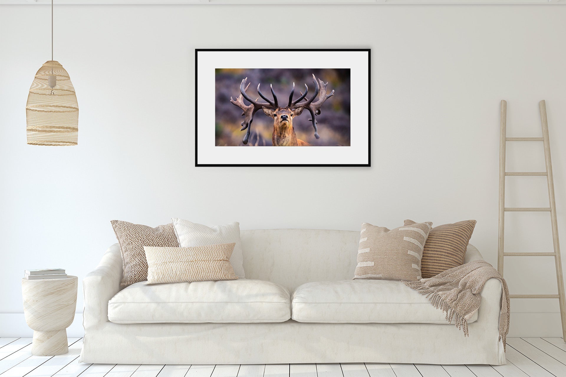 New Zealand Red Stag print