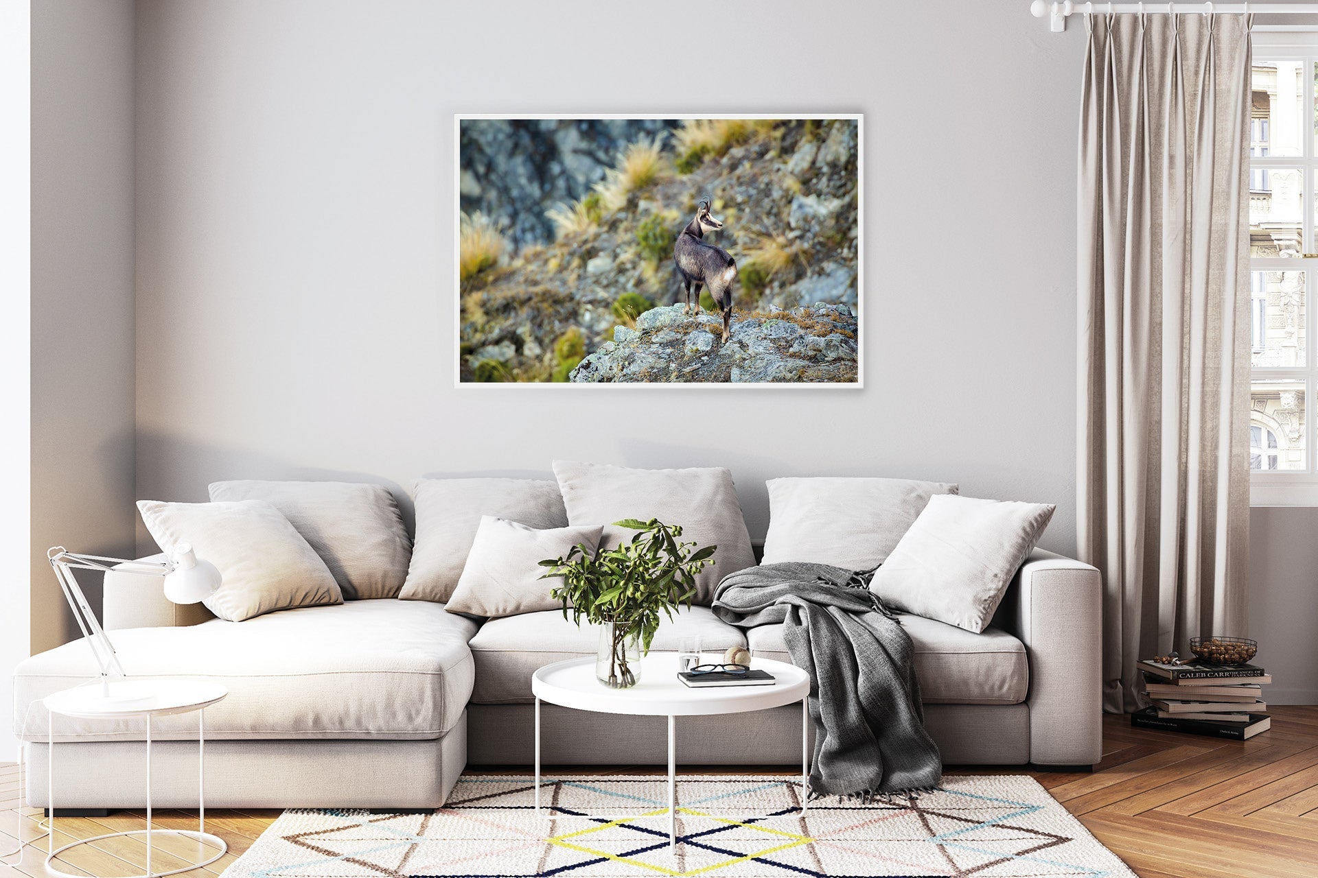Mountain Chamois in The Southern Alps of New Zealand wall print