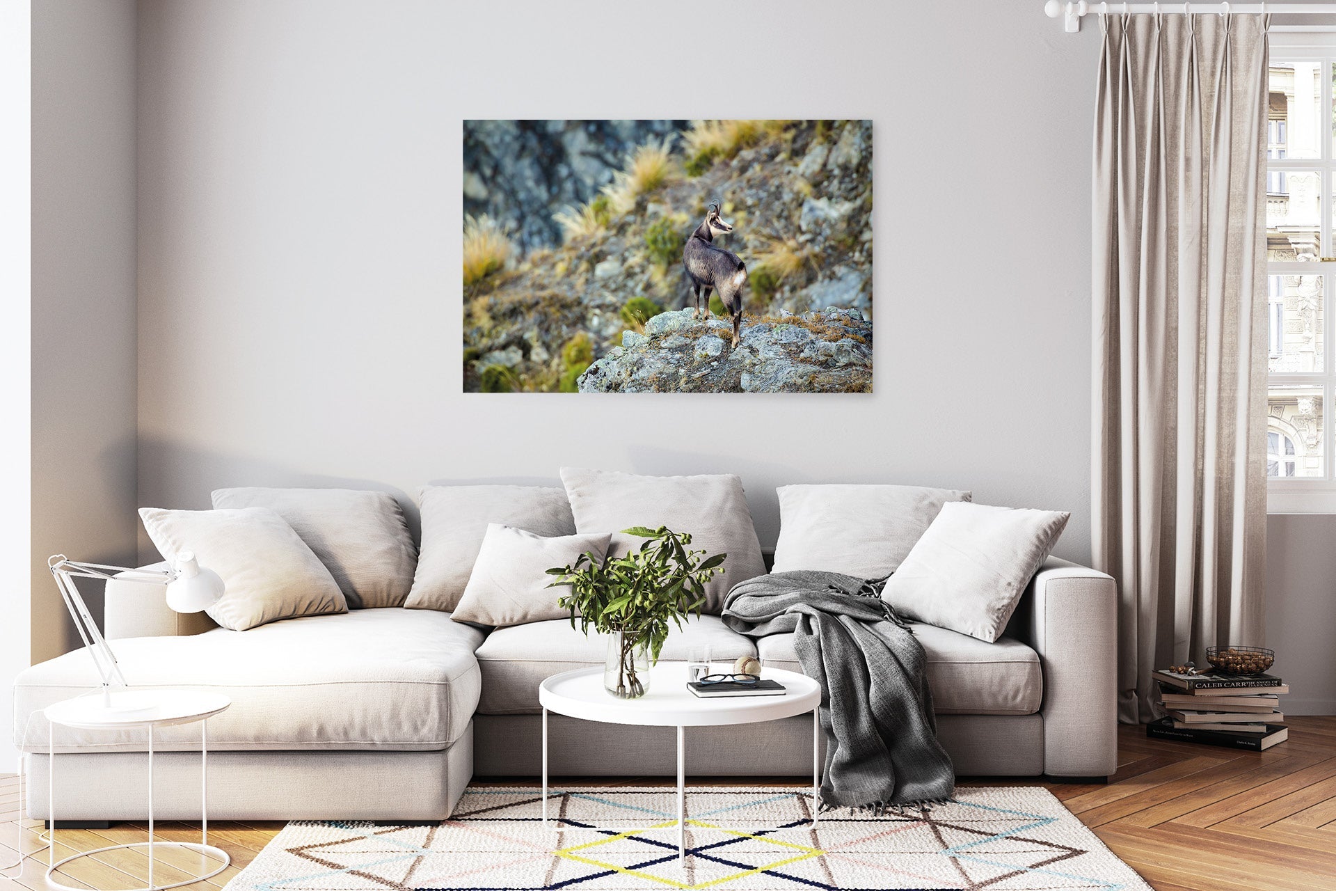 Mountain Chamois in The Southern Alps of New Zealand wall print