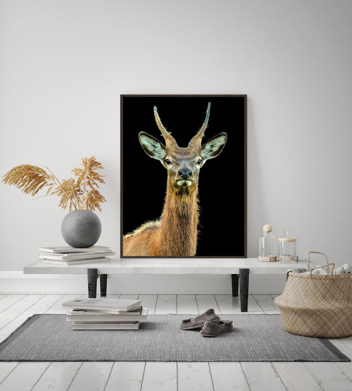framed red stag photograph