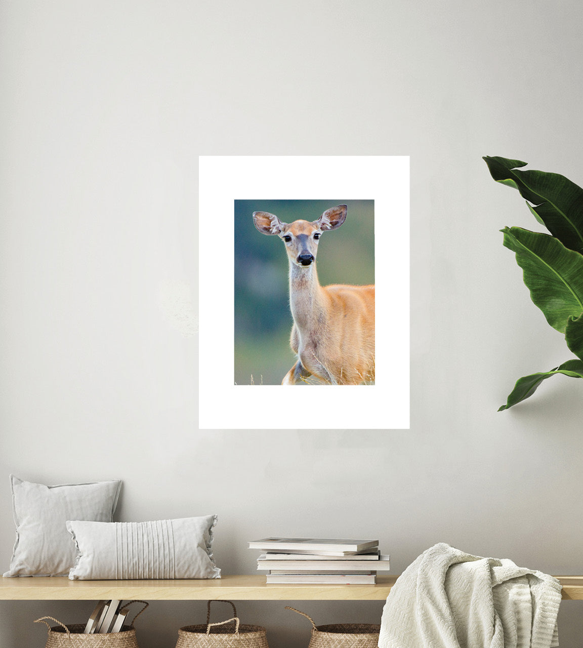 Whitetail Deer wall image