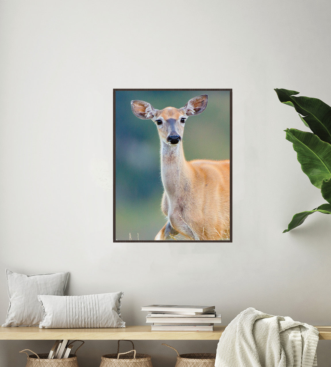 Whitetail Deer photo art wall print