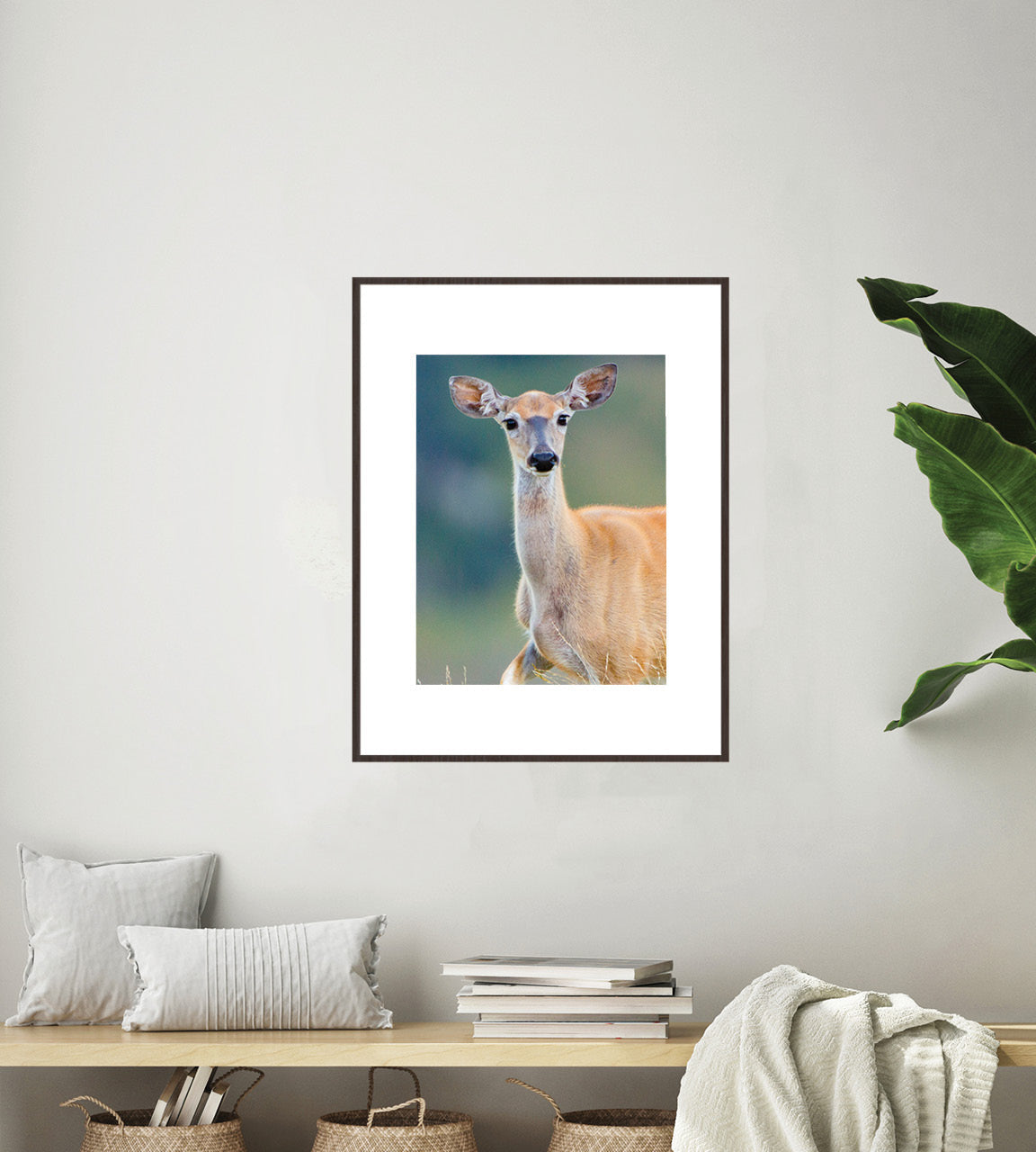 Whitetail Deer photo art wall print