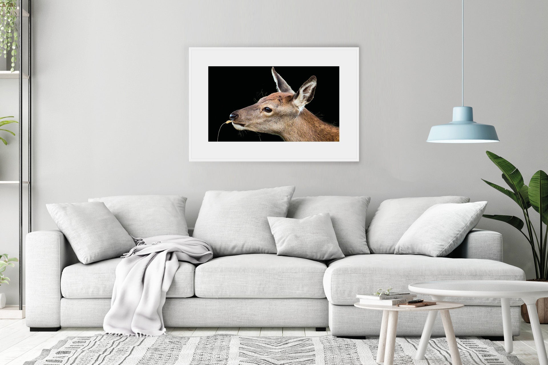 red deer fawn photo wall print