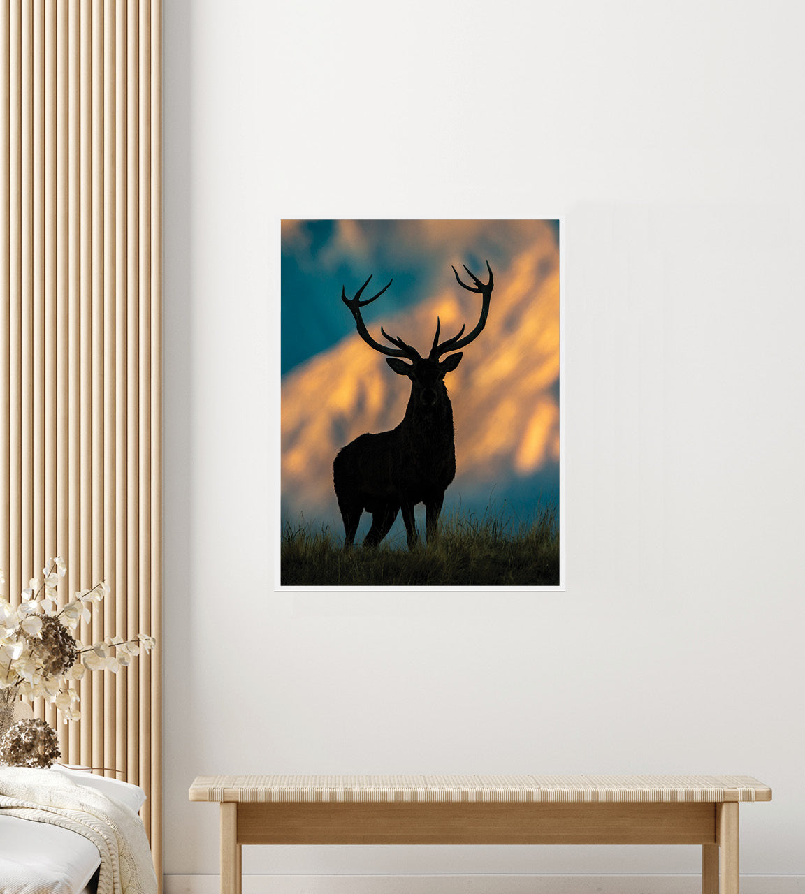 roaring red stag photo wall print