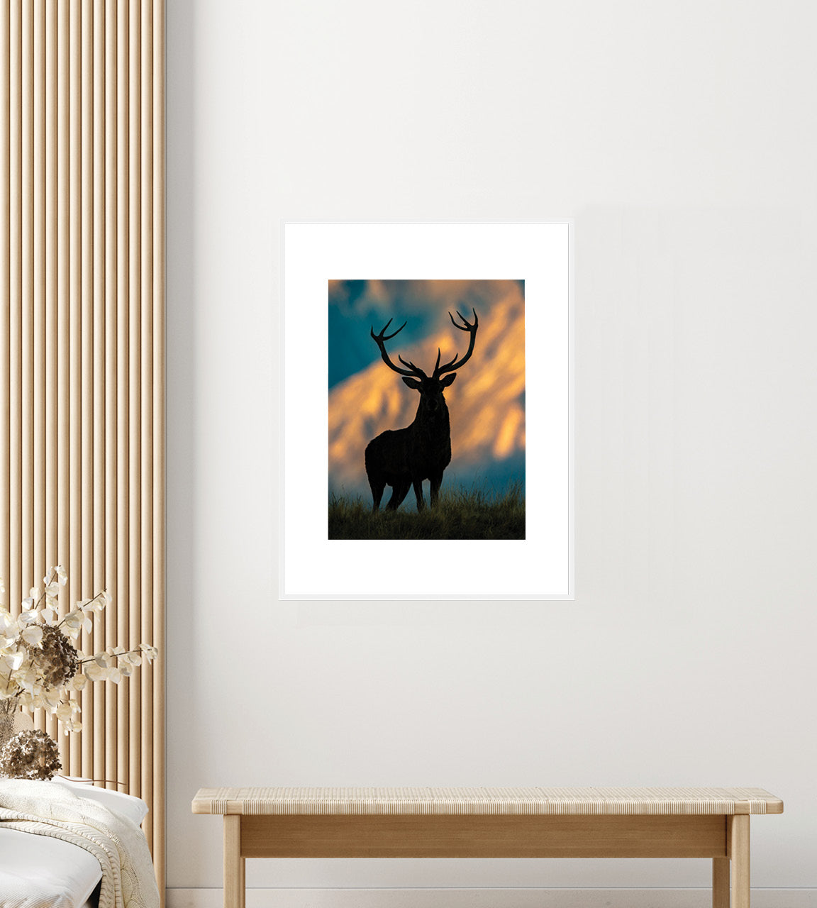 roaring red stag photo wall print