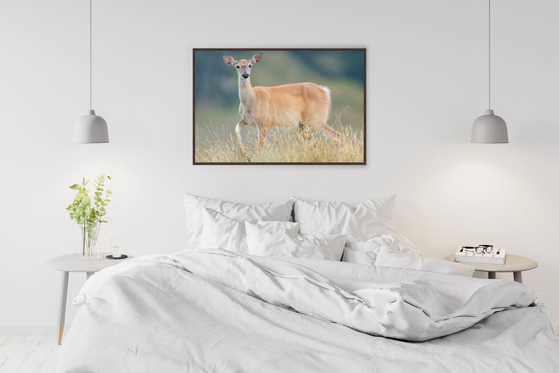 Whitetail deer wall prints 