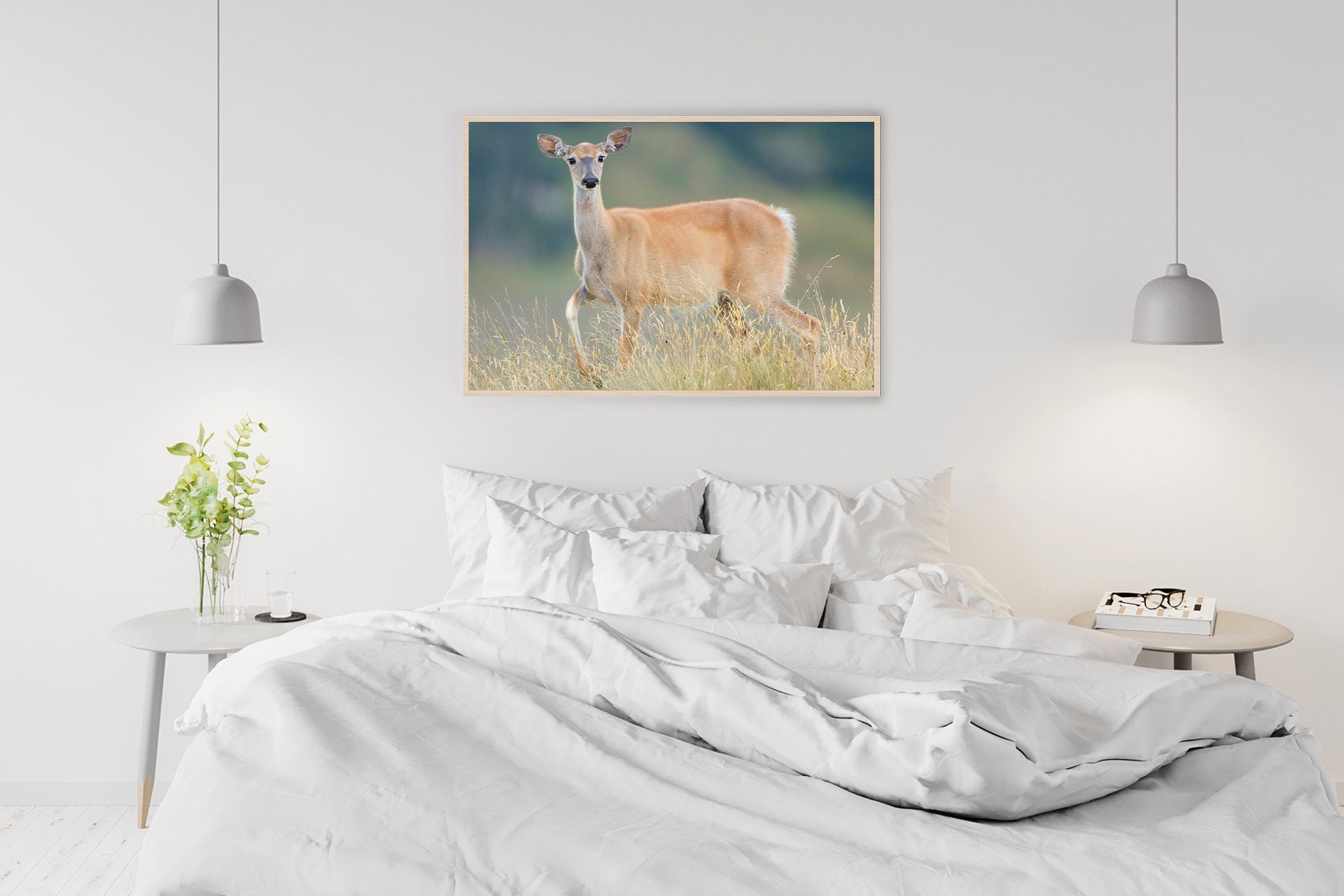 NZ whitetail doe wall print photo