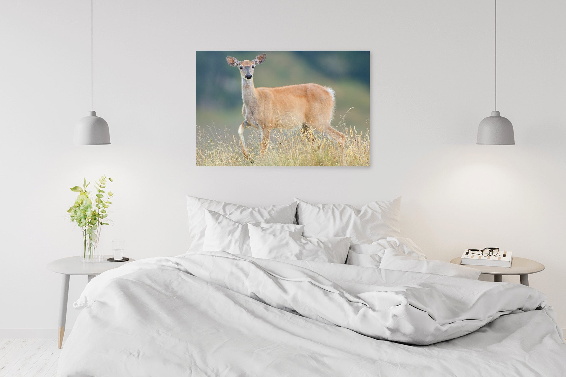 New Zealand whitetail wall print